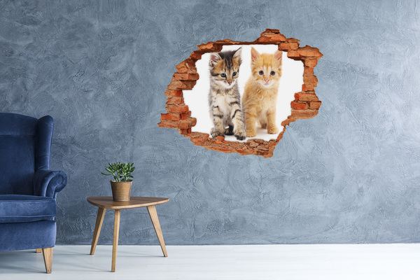 Grote 3D muursticker gat in de muur Kattenvriendjes achter het gat