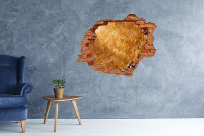 Vinyl muursticker 3D breekeffect Gouden gat in de muur
