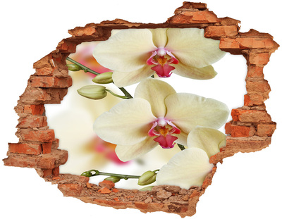 Vinyl muursticker 3D breekeffect Orchideeën in een kapotte muur