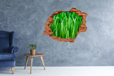Grote 3D muursticker gat in de muur Groene weide met waterdruppels