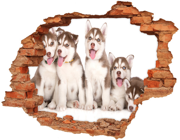Grote 3D muursticker gat in de muur Huskypuppy's achter een gat in de muur