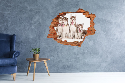 Grote 3D muursticker gat in de muur Huskypuppy's achter een gat in de muur