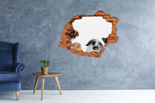 Grote 3D muursticker gat in de muur Dieren achter het gat in de muur