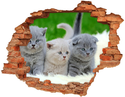 Grote 3D muursticker gat in de muur Kittens in een gat in de muur
