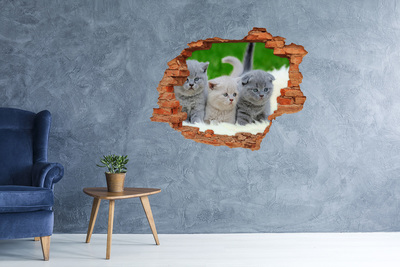 Grote 3D muursticker gat in de muur Kittens in een gat in de muur