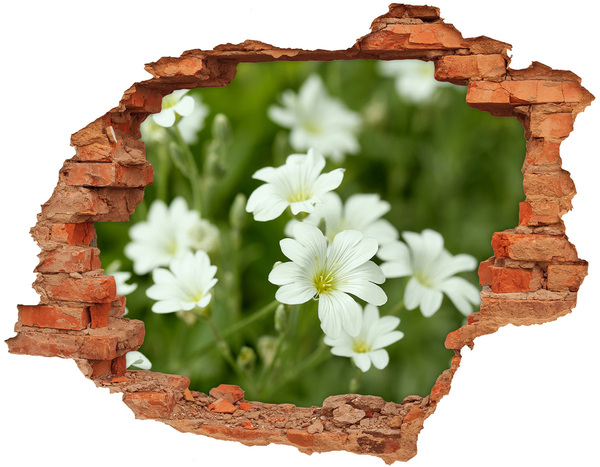 Grote 3D muursticker gat in de muur Bloemen in een gat in de muur