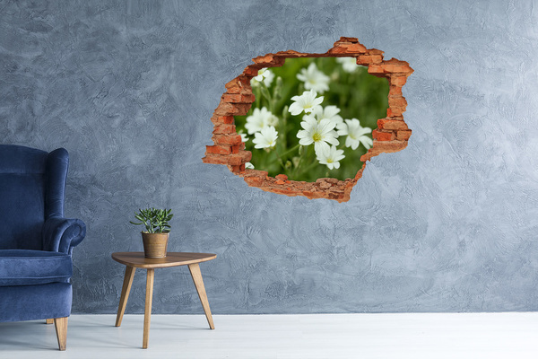 Grote 3D muursticker gat in de muur Bloemen in een gat in de muur