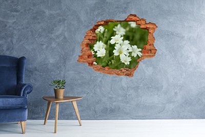 Grote 3D muursticker gat in de muur Bloemen in een gat in de muur