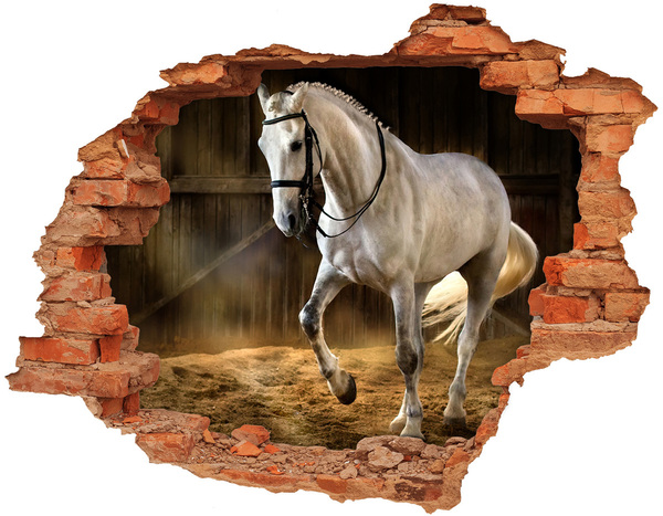 Grote 3D muursticker gat in de muur Een paard in de stal