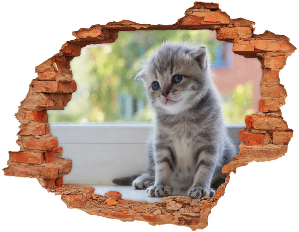 Grote 3D muursticker gat in de muur Kitten in een gat in de muur