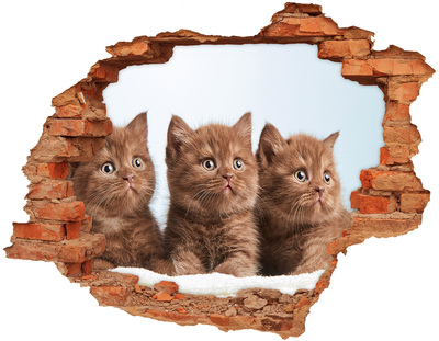 Grote 3D muursticker gat in de muur Kittens achter de muur
