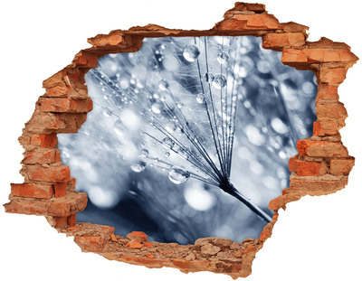 Grote 3D muursticker gat in de muur Dauwdruppels op een paardenbloem