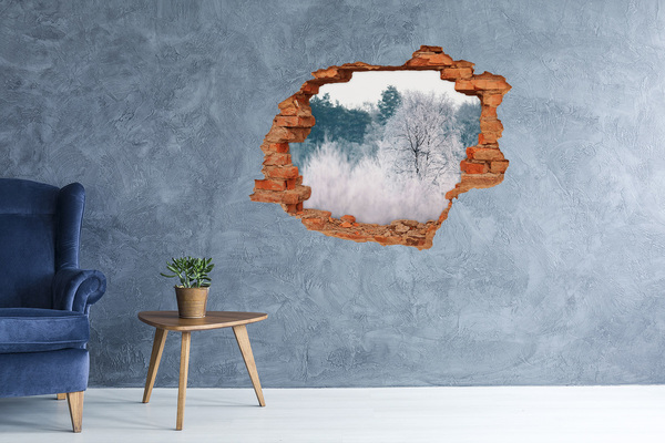 Grote 3D muursticker gat in de muur Winterlandschap achter het gat in de muur