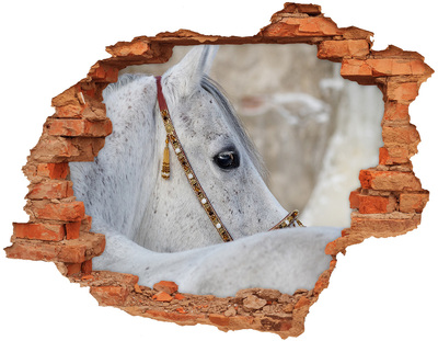 Grote 3D muursticker gat in de muur Een paard met een elegant hoofdstel.