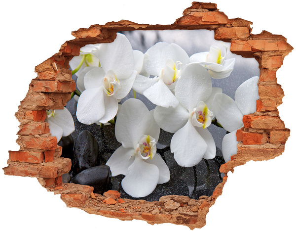 Grote 3D muursticker gat in de muur Orchideeën in water