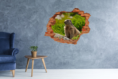 Vinyl muursticker 3D breekeffect Marmot in het wild