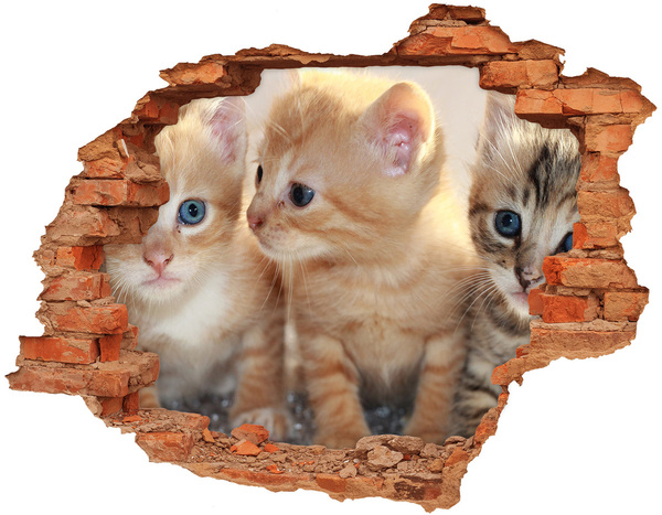 Grote 3D muursticker gat in de muur Kittens in een gat in de muur