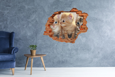Grote 3D muursticker gat in de muur Kittens in een gat in de muur