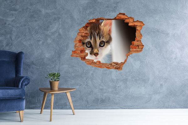 Vinyl muursticker 3D breekeffect Kat in een gat in de muur