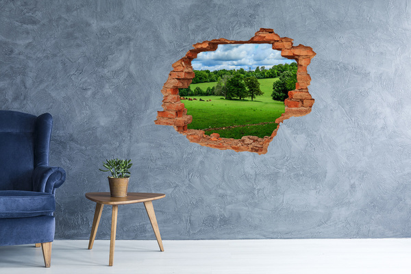 Grote 3D muursticker gat in de muur Groene weide met bomen