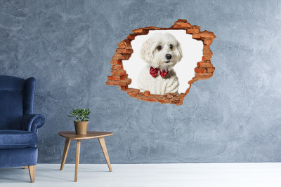 Grote 3D muursticker gat in de muur Hond in een trui door een gat in de muur