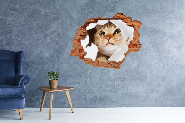 Grote 3D muursticker gat in de muur Kat door een gat in de muur
