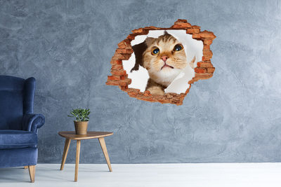 Grote 3D muursticker gat in de muur Kat door een gat in de muur