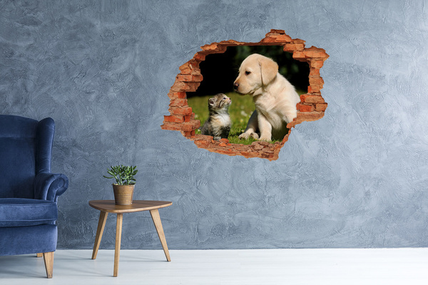 Grote 3D muursticker gat in de muur Vriendschap tussen hond en kat