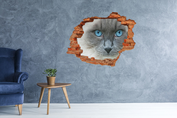 Grote 3D muursticker gat in de muur Kat in een gat in de muur