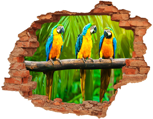 Grote 3D muursticker gat in de muur Tropische papegaaien in de jungle