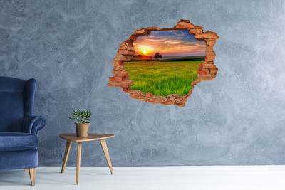 Vinyl muursticker 3D breekeffect Zonsondergang boven de weide