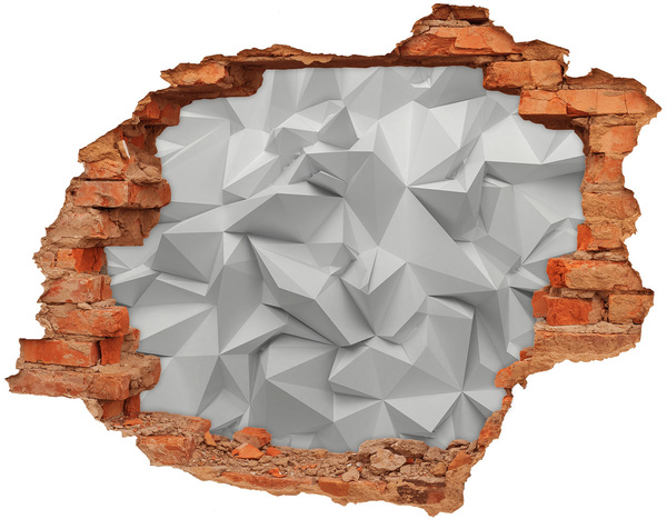 Vinyl muursticker 3D breekeffect Modern Hole in Wall