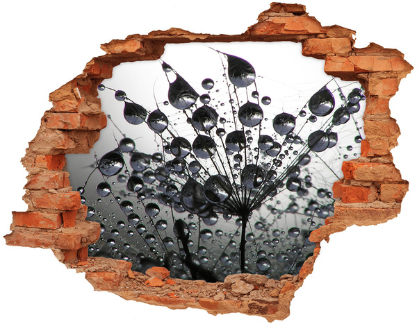 Grote 3D muursticker gat in de muur Waterdruppels op een paardenbloem