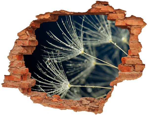 Vinyl muursticker 3D breekeffect Paardenbloemen in water