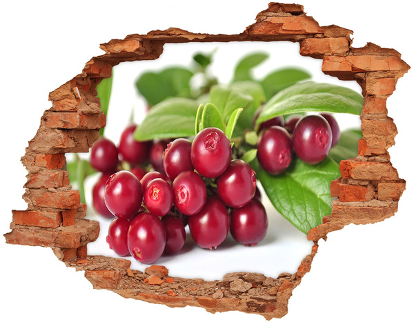 Grote 3D muursticker gat in de muur Fruity Hole in the Wall