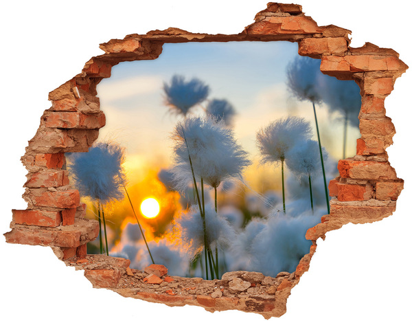 Grote 3D muursticker gat in de muur Bloemen bij zonsondergang