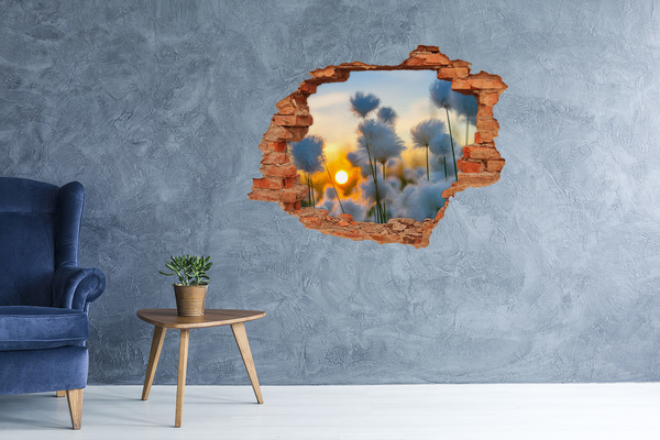 Grote 3D muursticker gat in de muur Bloemen bij zonsondergang