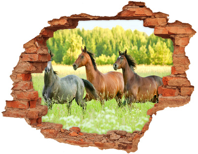 Vinyl muursticker 3D breekeffect Rennende paarden in de natuur