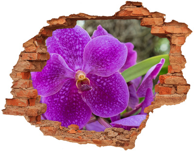 Vinyl muursticker 3D breekeffect Orchideebloem in een gat in de muur