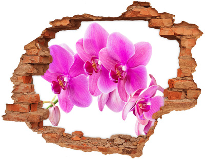 Grote 3D muursticker gat in de muur Orchideeën in een betonnen gat