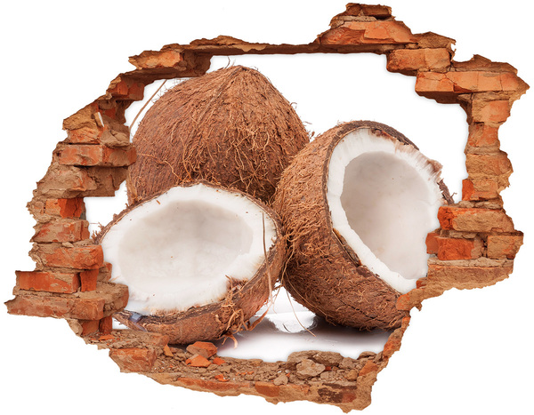 Grote 3D muursticker gat in de muur Kokosnootschatten