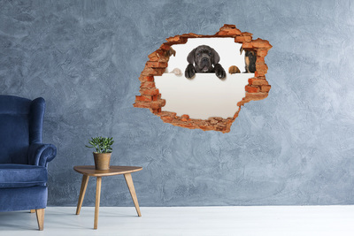 Vinyl muursticker 3D breekeffect Lief puppy'tje van achter de muur