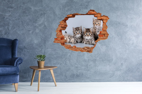 Vinyl muursticker 3D breekeffect Kittens in een gat in de muur