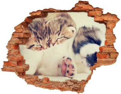 Grote 3D muursticker gat in de muur Schattige kittens in een gat in de muur