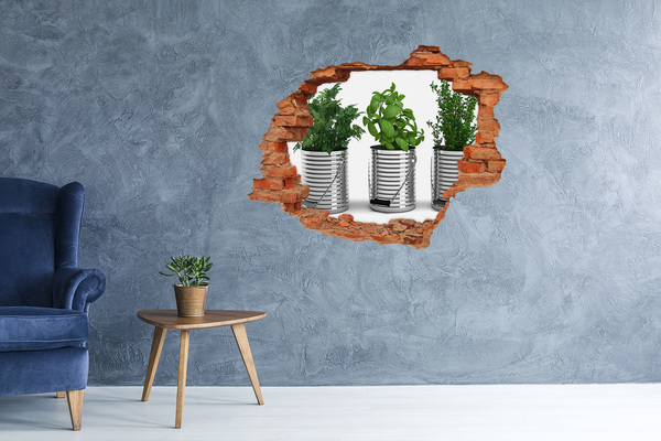 Grote 3D muursticker gat in de muur Groene tuin in metalen potten