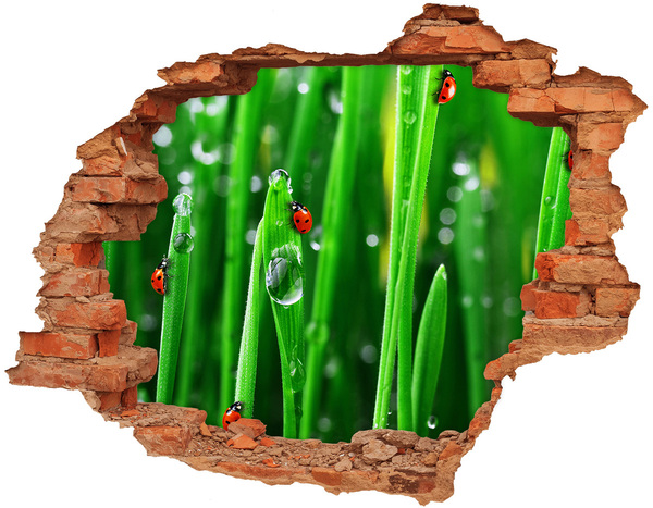 Grote 3D muursticker gat in de muur Een dauwdruppel op het gras met een lieveheersbeestje