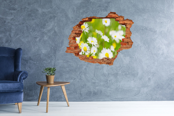 Grote 3D muursticker gat in de muur Bloemen in de weide