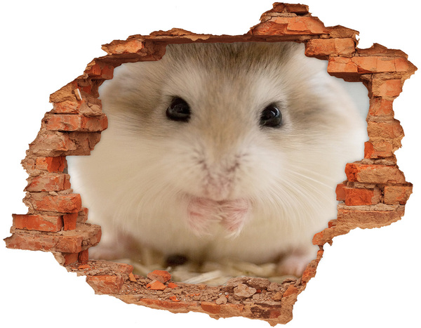Vinyl muursticker 3D breekeffect Hamster in een gat in de muur