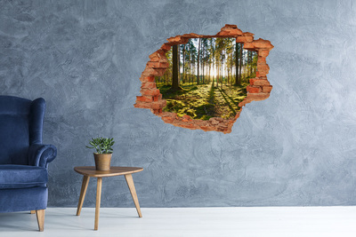 Grote 3D muursticker gat in de muur Bergpanorama met een meer
