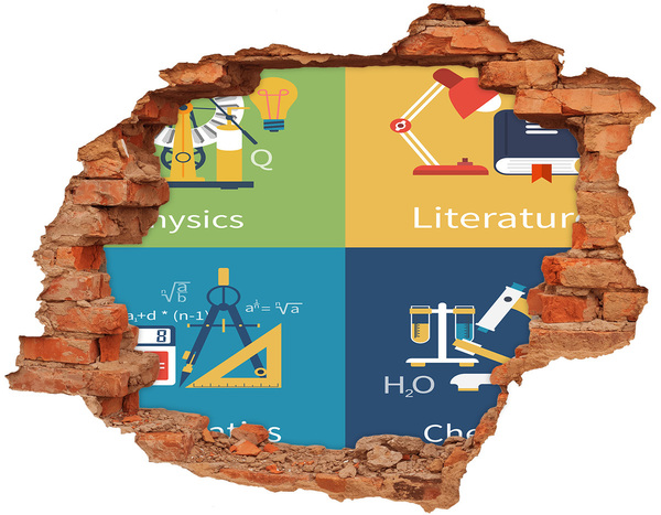 Grote 3D muursticker gat in de muur Magnoliabloemen in een beschadigde muur